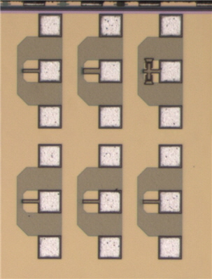 Test Structure Die Photo